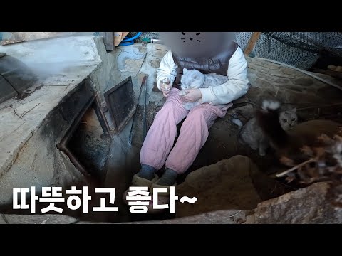 영하로 떨어지는 추운 산골에서 고양이들과 함께 살아가기