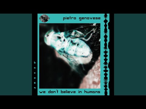 Acid Love Story (Original Mix)