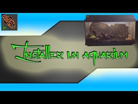 comment poser un filtre aquarium