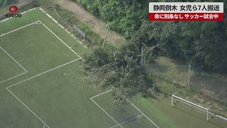 【速報】静岡倒木、女児ら7人搬送 命に別条なし、サッカー試合中
