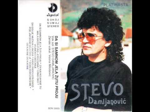 Stevo Damljanovic i DO Milije Milica - Pod Javorom selo sto je - (Audio 1990)