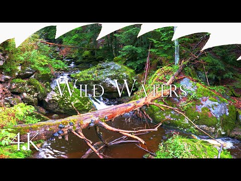 Wild Waters - Relaxing White Noise Waterfall Sounds No Music, Soothing 4K Nature River Ambience