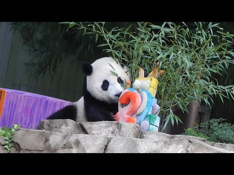 Xiao Qi Ji's 2nd Birthday 8/21/22