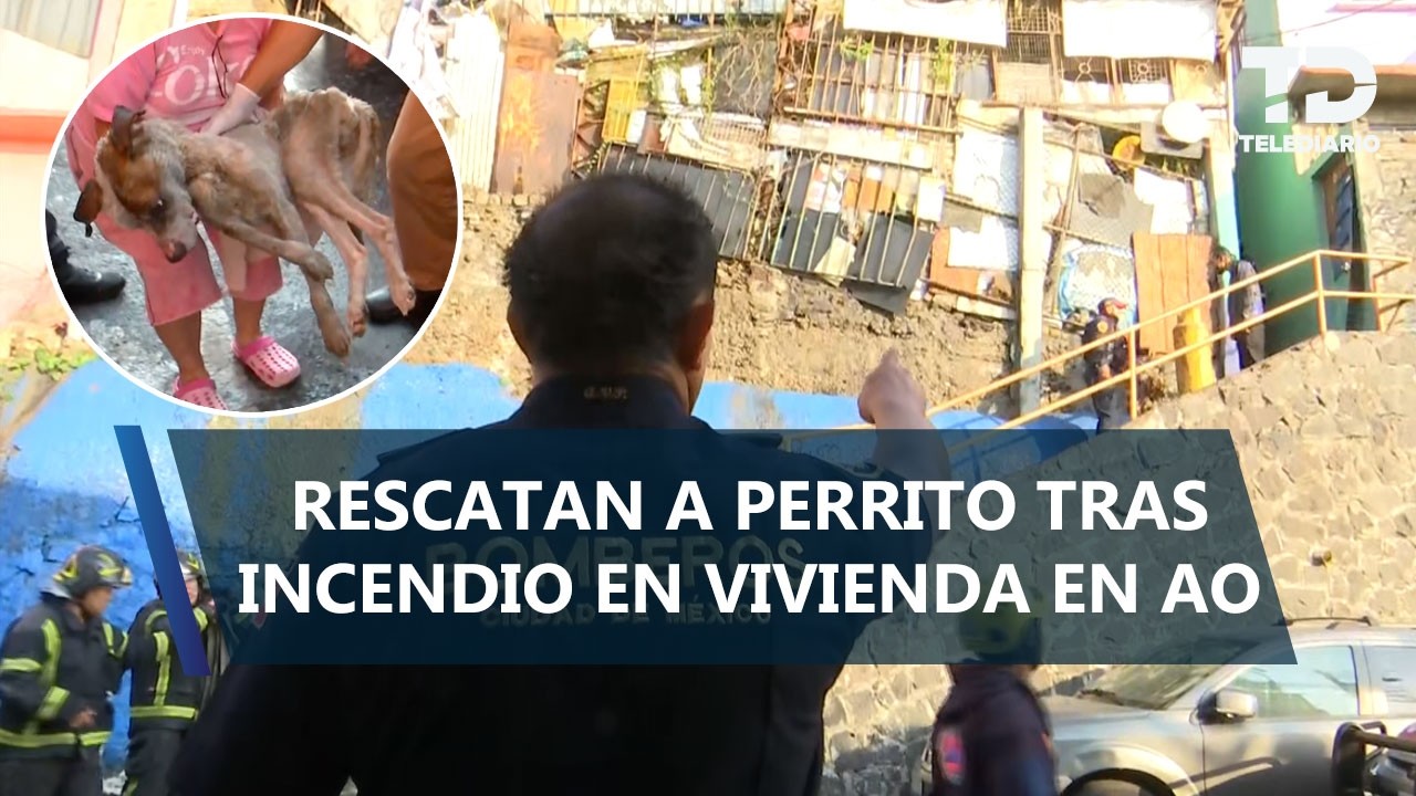 Incendio dentro de casa casa en Álvaro Obregón deja un perrito herido; así fue su rescate