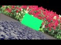 Wedding Frame Green Screen Motion Background Video Effects HD Free Green Screen2019