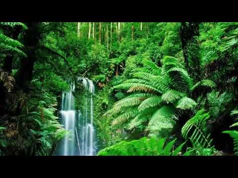 10 minute meditation music, relaxation music, stress relief, and zen music.