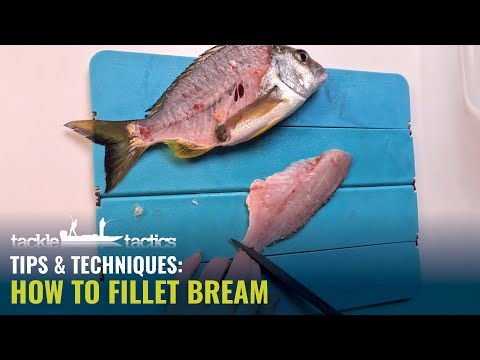 How to Fillet Bream - A Simple Step by Step Guide