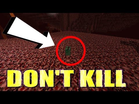 Thunder Gabe - DON'T *KILL* THIS MOB IN THE NETHER | Fapdos nether mobs