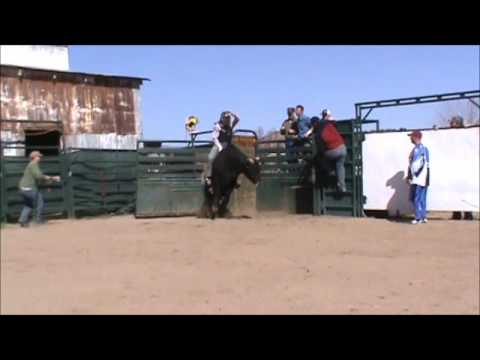 461 Cash To Win son.wmv