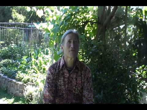 Greetings from Melliodora