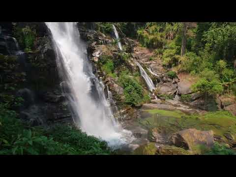 Psalm 5 Audiobook with Nature Sounds (Treasury of David by Spurgeon)