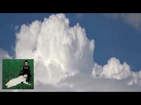 дорогой дневник - на вырост (cvpellv remix)