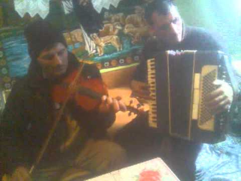 cei mai buni muzicanty  din suciu de sus 1.3gp