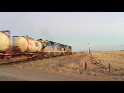 freight train 5PM9 CF4403 CF4410