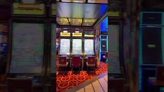 #cruise #adventure #funtimes #vacation #travel #travelphotography #vlog #blog #cruiseadventure