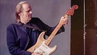 Walter Trout-She Steals My Heart Away