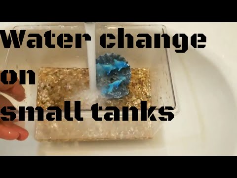 HOW TO CLEAN A 2 GALLON OR SMALLER FISH TANK 2017 - YouTube