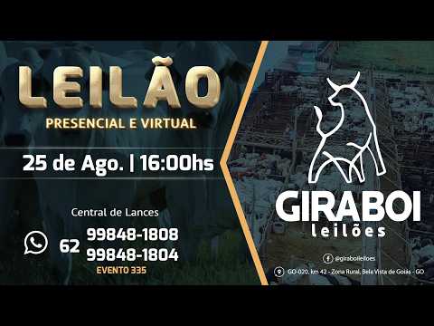 Leilão Gado de Corte - Giraboi Leilões 25/08/2026 Bela Vista de Goiás