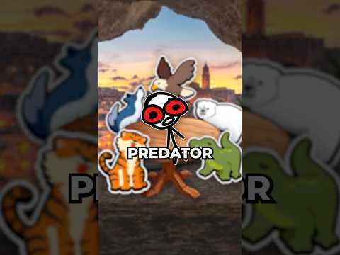 How I’d Survive as a Bug