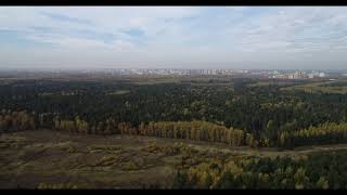 Рыбалка на торфянке в королеве