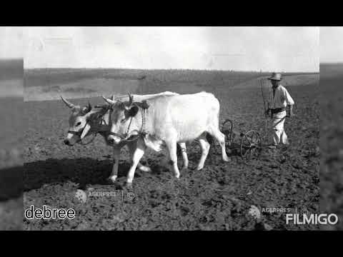 Ghiță soporanu - vara vara primavara Originală