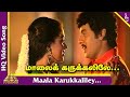 Enga Ooru Kavalkaran Tamil Movie Songs Maala Karukkaliley Video Song Mano P Susheela