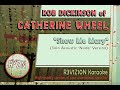 Rob Dickinson (Catherine Wheel) "Show Me Mary (Solo 'Nude' Acoustic)" Karaoke Instrumental Lyrics
