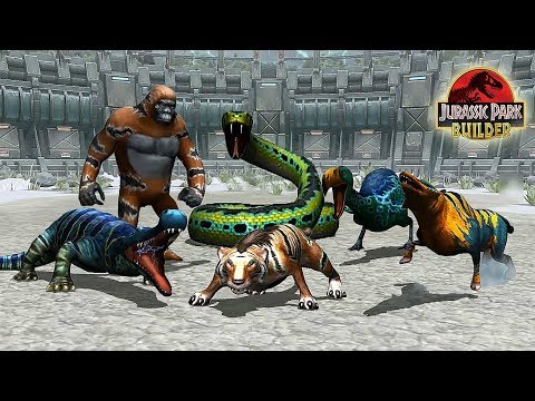 ALL MAXED GLACIER DINOSAUR SPECIAL + STATS! | GLACIER TOURNAMENT || JURASSIC PARK BUILDER