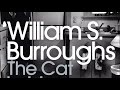 William S. Burroughs - comparing cats & dogs (reading from ‘The Cat Inside’)