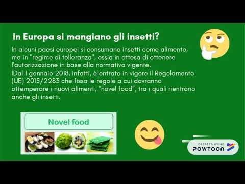 INSETTI: il cibo del futuro - classe 2A