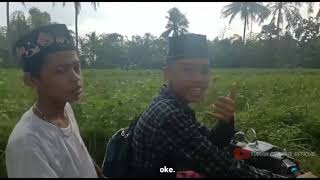 Download lagu STORY WA QUOTES 30 DETIK - tuman channel official mp3