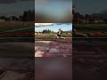 Quarantine Training-High Jump/Track & Field