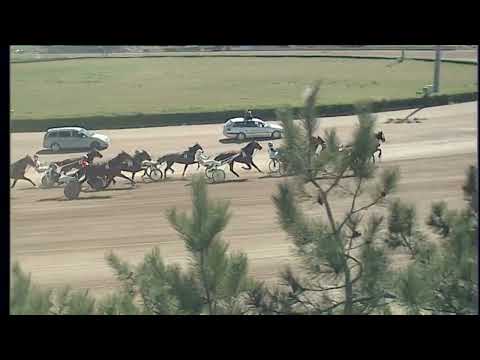 Ippodromo dei Sauri - 1' corsa del 4.4.2024