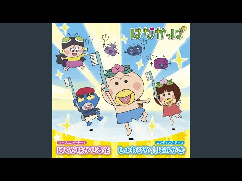 Hanakappa Boku ga Sakaseru Hana Miho Shinogaya