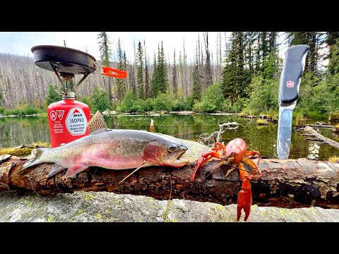 SOLO Mountain Trout Fishing & WILD Crawfish Boil!!! (Catch, Cook, Camp)