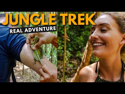 We’re in the JUNGLE in Thailand! Spotting Monkeys, Lizards & more in Khao Sok National Park 🇹🇭