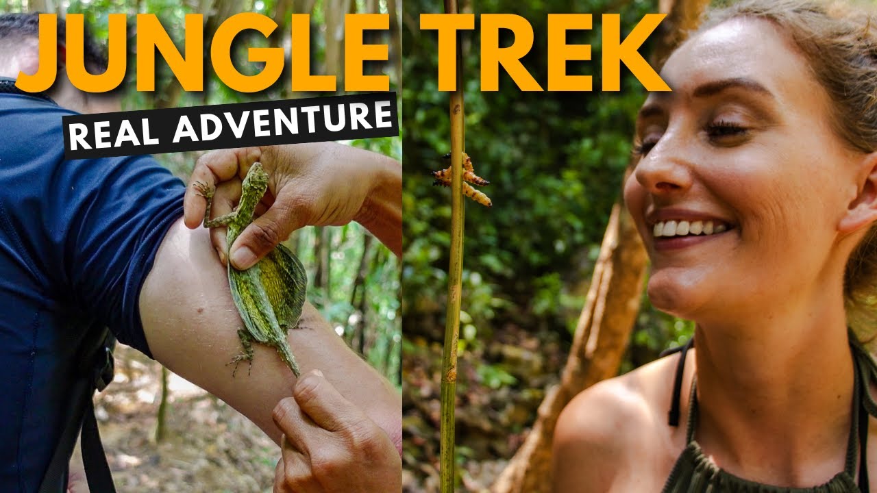 Venturing on an exhilarating jungle trek in Khao Sok, travelers immerse themselves in nature's splendor.