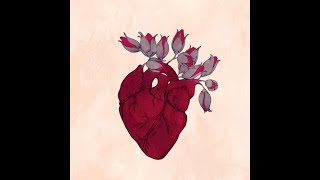 Paramore - My Heart [Legendado PT-BR]