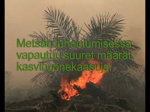 Sademetsää tankissa