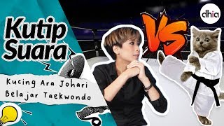 Download lagu Kutip Suara : Kucing Ara Johari Belajar Taekwondo ! mp3