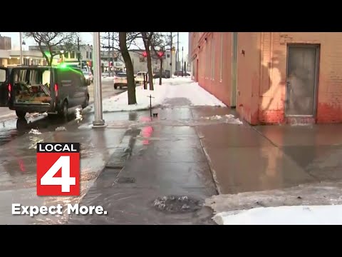 Local 4 News at Noon -- Feb. 3, 2026