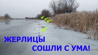 Рыбалка на жерлицы 2019 год