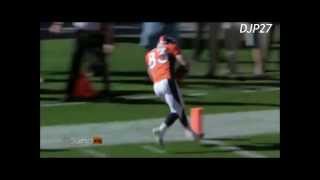 Wes Welker Highlights 2013