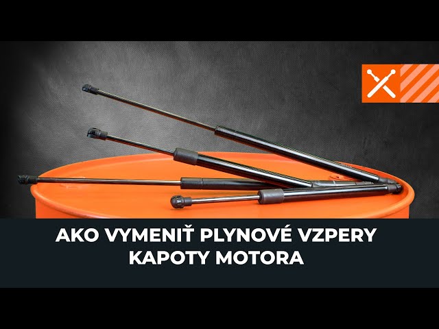 Pozrite si video sprievodcu ako vymeniť Predna kapota na PEUGEOT 206 Saloon