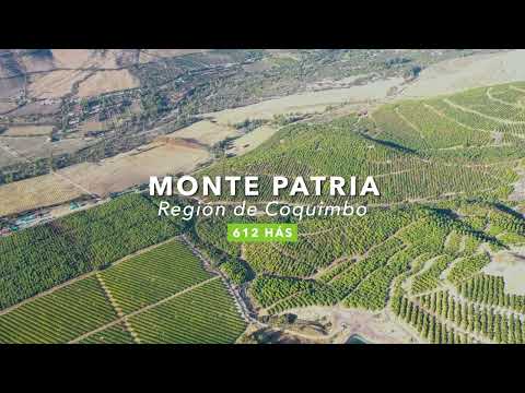 MONTE PATRIA 612 HAS/REGIÓN DE COQUIMBO