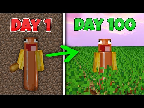 Insane challenge: 1M Potatoes in 100 Days!