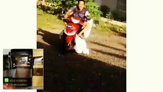 Download lagu hareudang remix tik tok versi bakoel coffee mp3