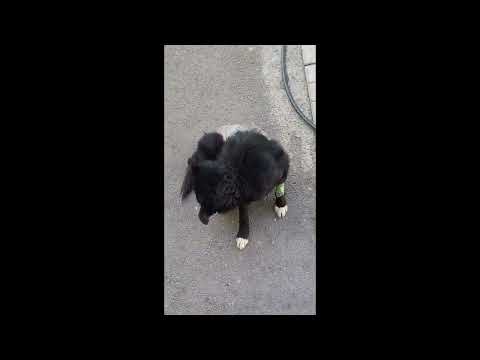 CIPRIAN - 04. März 2024