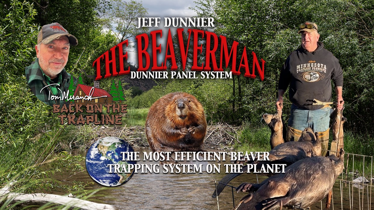 THE BEAVERMAN