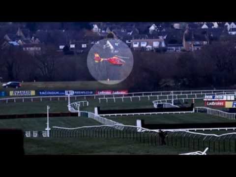 JT McNamara Paralysed After Cheltenham Fall